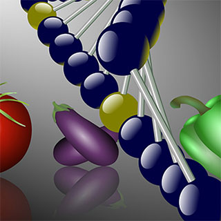 Nutrigenetica e Nutrigenomica:  dalla teoria al piano nutrizionale