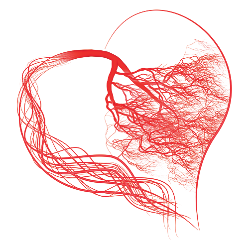 Microcircolo coronarico - Conoscere come funziona per comprendere la disfunzione